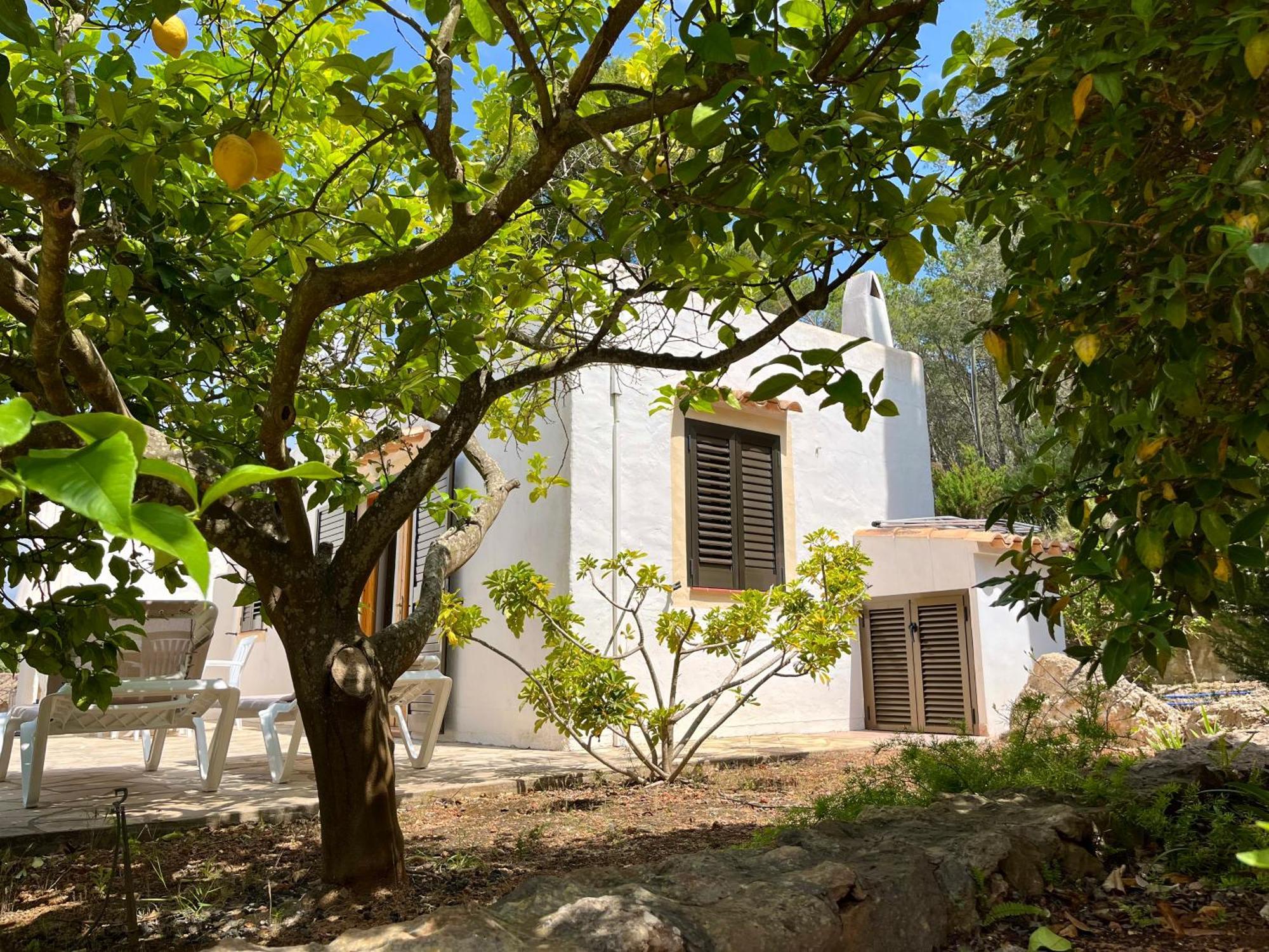 Pinosol Appartamento Santa Eularia des Riu